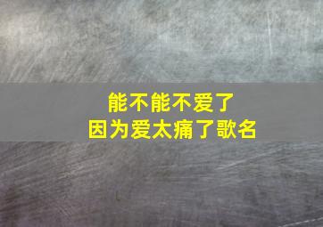 能不能不爱了 因为爱太痛了歌名